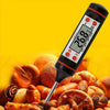 Food Thermometer- مقياس حرارة الطعام