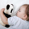 Panda Breathing Bear -  دب باندا التنفسي