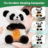 Panda Breathing Bear -  دب باندا التنفسي