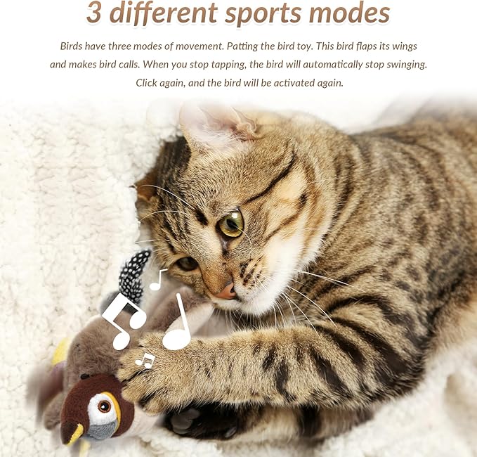 Flying Bird Cat Toy - لعبة القطة الطائر